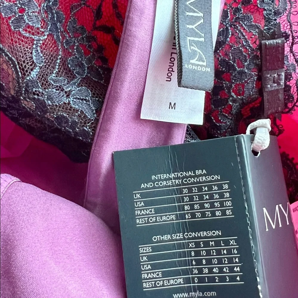 COPY - Myla lingerie 3 Bras~2 Panties ~ All Silk ~Treasure Box 36C/M panties - Picture 9 of 17